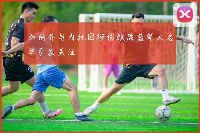 加纳乔与内托因轻伤缺席蓝军大名单引发关注